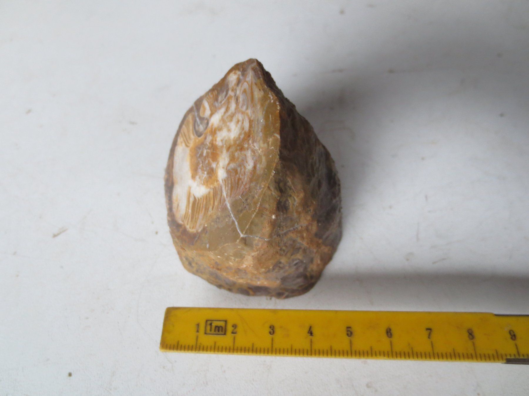 Fossilien: Versteinerung- Hippurites – Gebraucht aus Weier im Emmental von waefler03 2