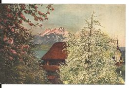 Weggis LU Bauernhaus Kirche Pilatus ca. 1930 sehr gut erhalt