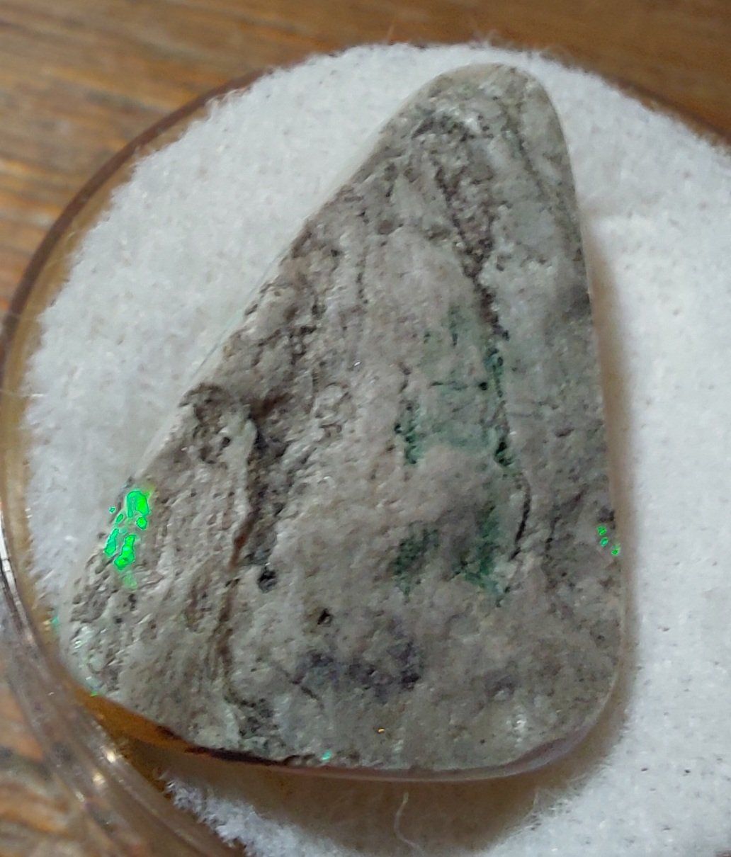 Edelsteine: Opal (opalisiertes Muschelstück) – Neu (gemäss Beschreibung) aus Klingnau von Tamina5 3