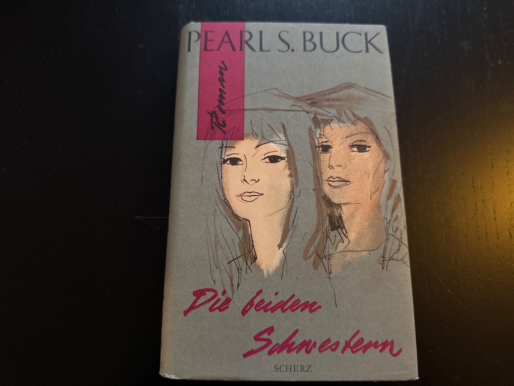 Libri: Die beiden Schwestern – Usato da Erstfeld venduto da Uhu1980