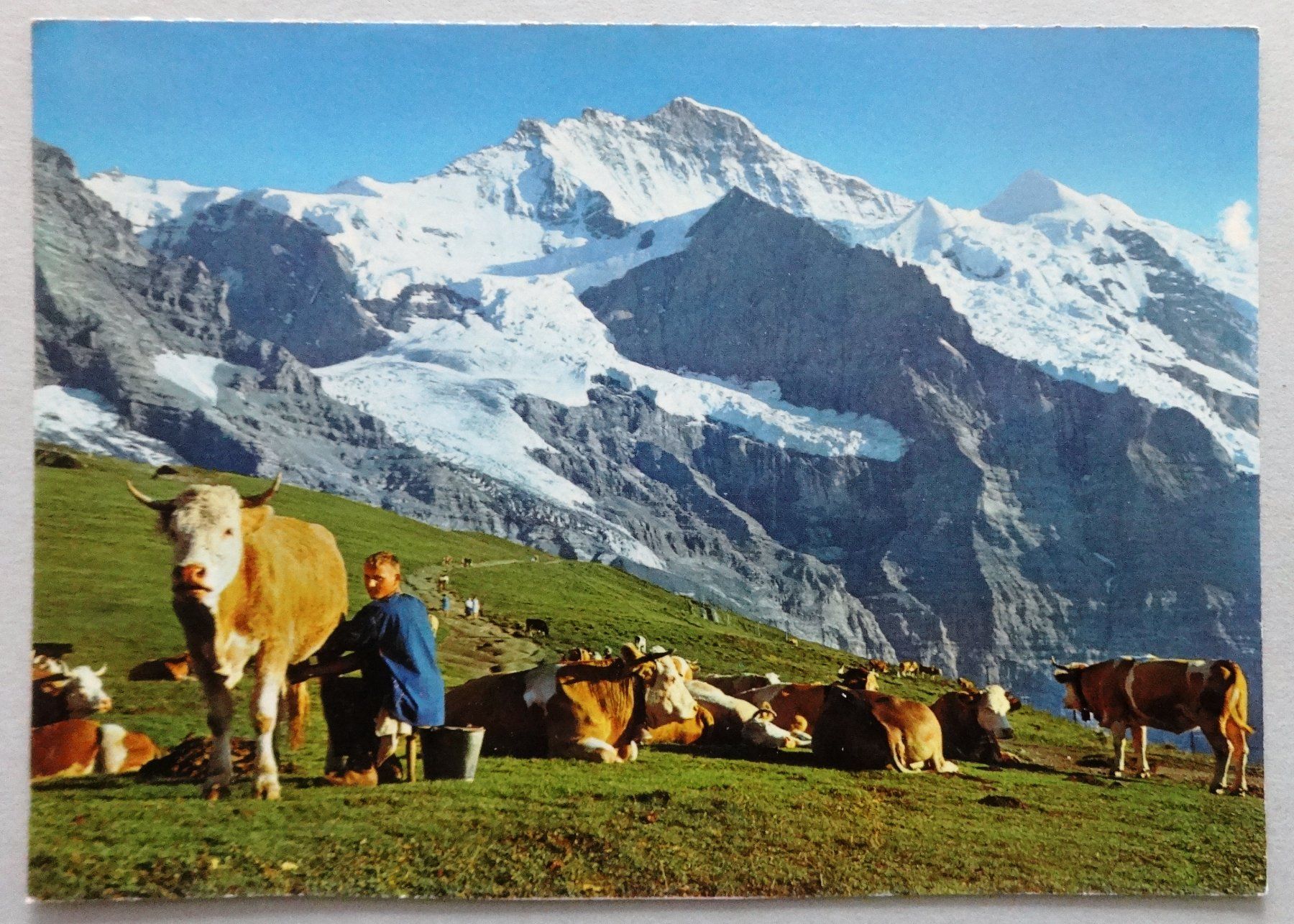 Ansichtskarten: Klein Scheidegg 2061 m, Jungfrau – Gebraucht aus Fétigny von Billy2miny