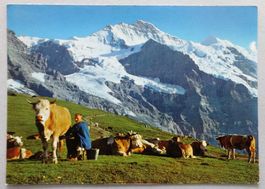 Klein Scheidegg 2061 m, Jungfrau