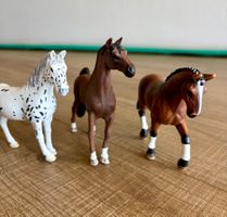 Schleich Pferdeset mit Decke und Putzzeug