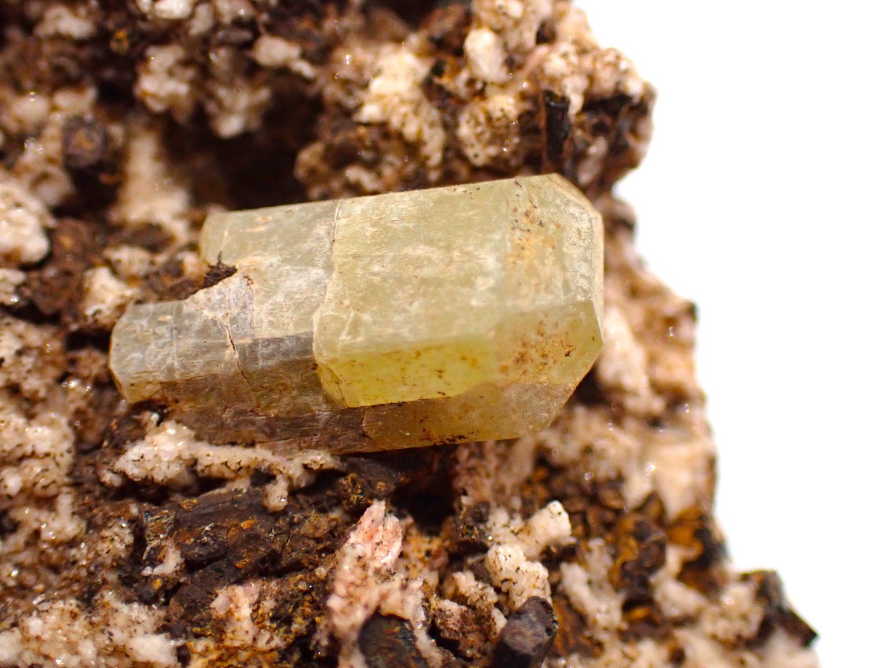Minerali & Pietre curative: Lustrous, Yellow Apatite Crystals - Morocco – Usato da Figino venduto da minshop 1