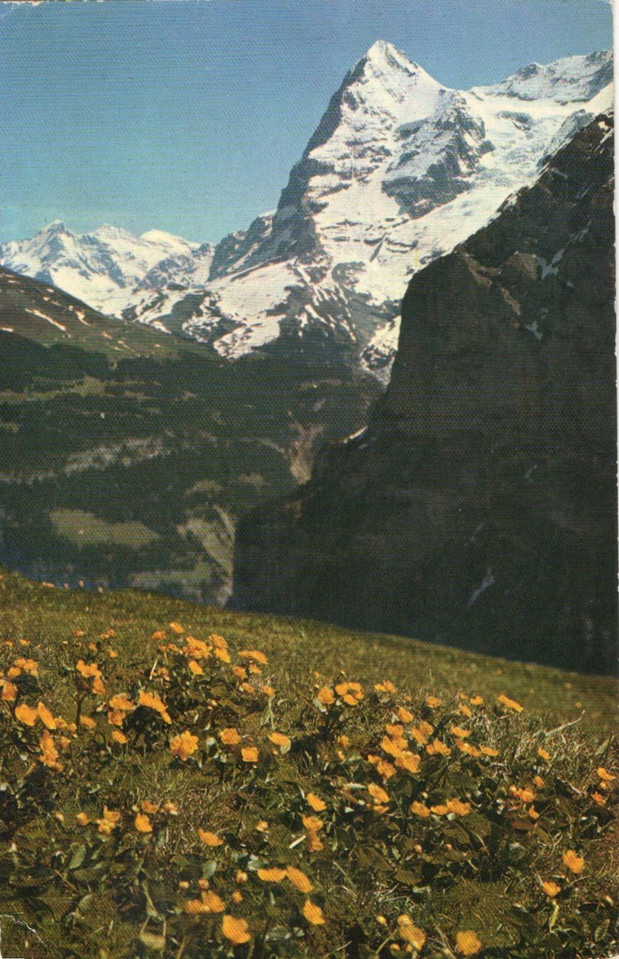 Cartes postales: Mürren - Wetterhorn und Eiger – D'occasion à Melano par pisonsdro