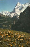 Mürren - Wetterhorn und Eiger
