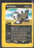POKÉMON / Hunduster / Aquapolis 🇩🇪