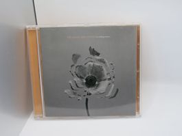 CD The Naked And Famous – In Rolling Waves