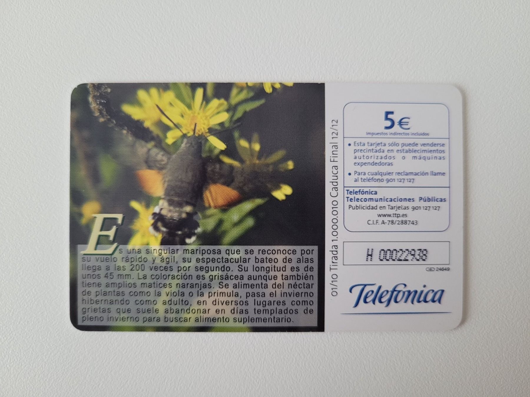 Cartes de téléphone: Telefonkarte Spanien "Vogel" – D'occasion à Inwil par Flower2325 1