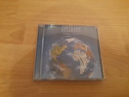 CD Gotthard Human Zoo