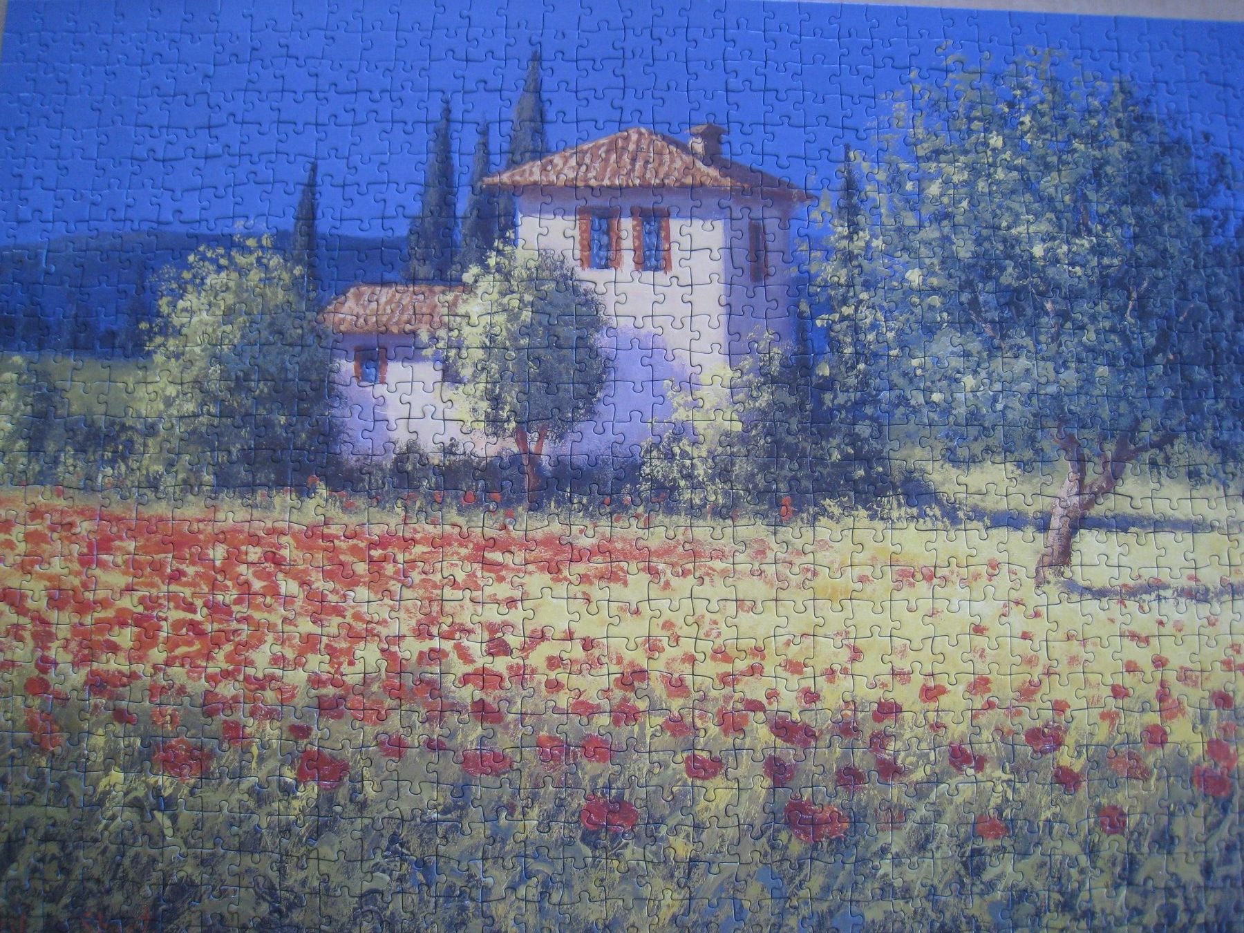 Ravensburger Puzzle: 4 Puzzle à 1000 Teile – Usato da Sutz venduto da martinliliane 2