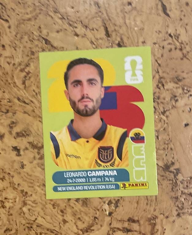 Cartes à collectionner: Fussball Sammelkarten  – D'occasion à Unterseen par Panini56 1