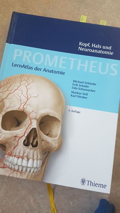 Prometheus LernAtlas der Anatomie (Gebraucht) in Baden für CHF 39 – nur ...
