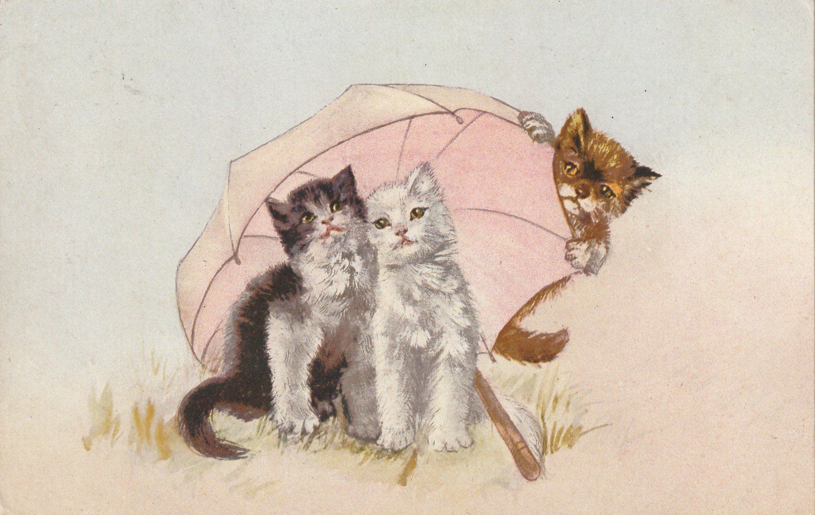 Ansichtskarten: 3 Katzen mit Schirm – Gebraucht aus Rorschacherberg von fratovi2
