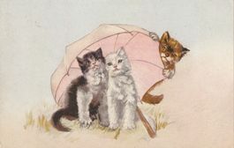 3 Katzen mit Schirm
