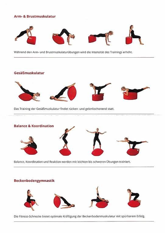 Libri: Fitness-Schnecke – Nuovo e nell'imballaggio originale da Lostorf venduto da Crissie_123 2