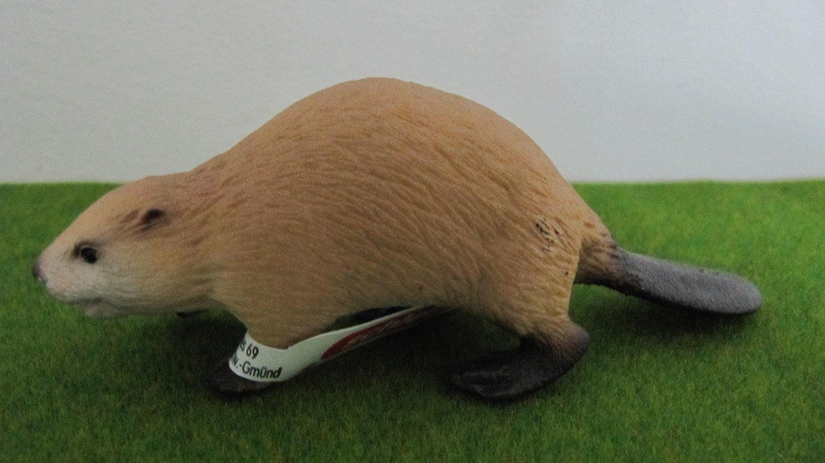 Spielzeuge: Schleich  Steinbock und Biber, neuwertig – Neu (gemäss Beschreibung) aus Brunnen von Kiwiland1 2
