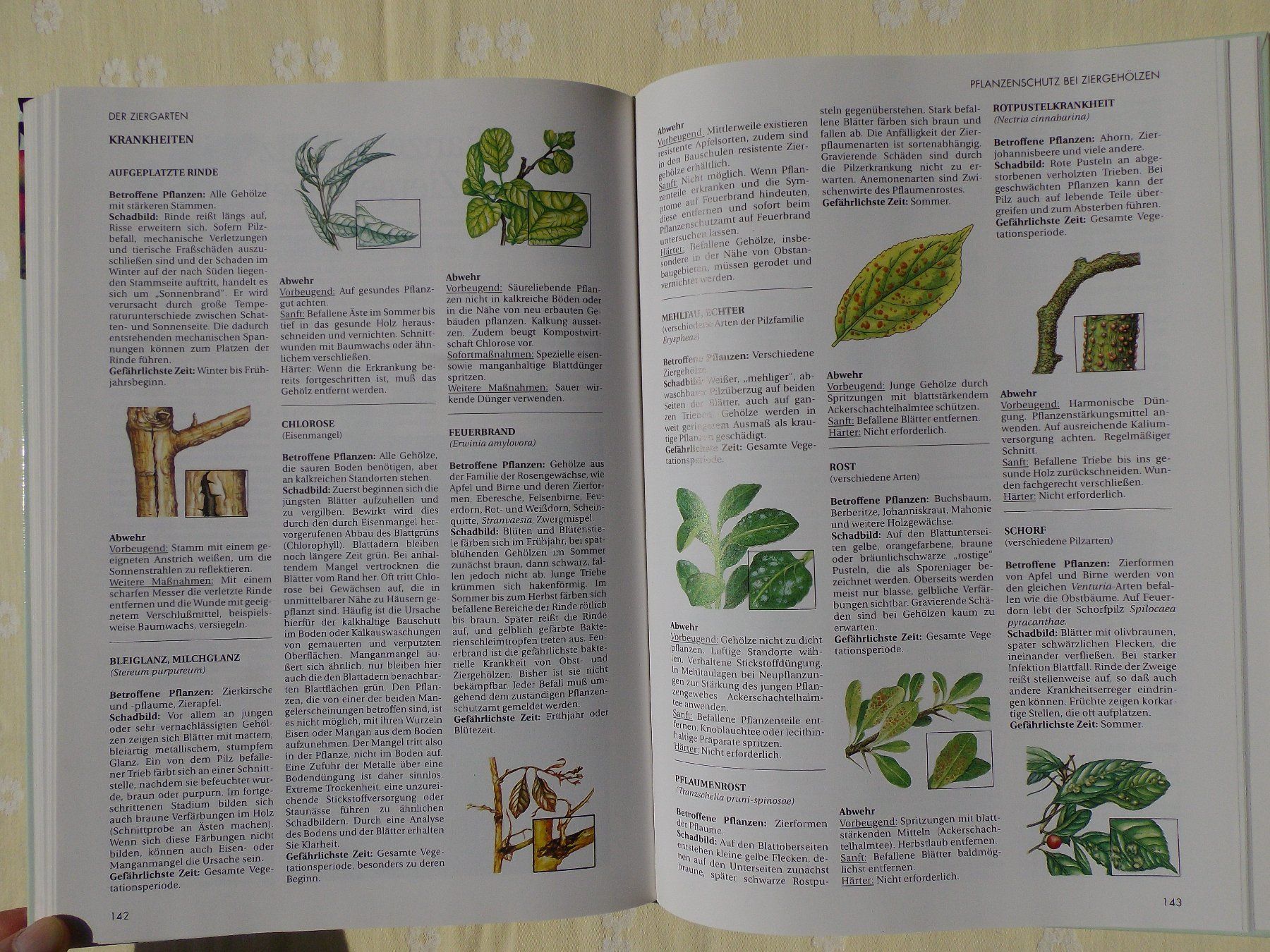 Libri: Der gesunde Biogarten - Das Beste – Usato da Uster venduto da urs_75by 8