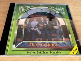 The Fortunes – You've Got Your Troubles