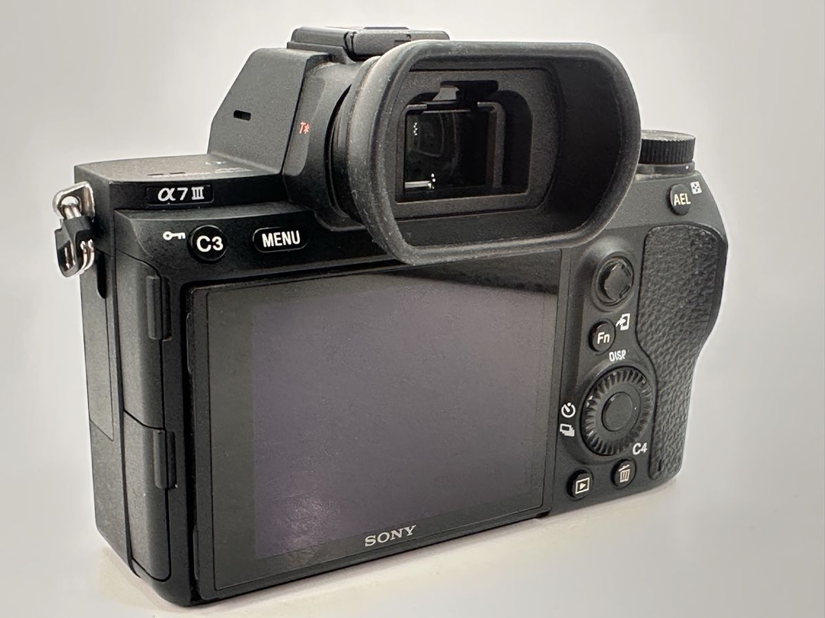 Sony Fotocamera: Sony Alpha 7 iii Top Zustand – Nuovo (secondo la descrizione) da Arbon venduto da Sed_9bj9 2