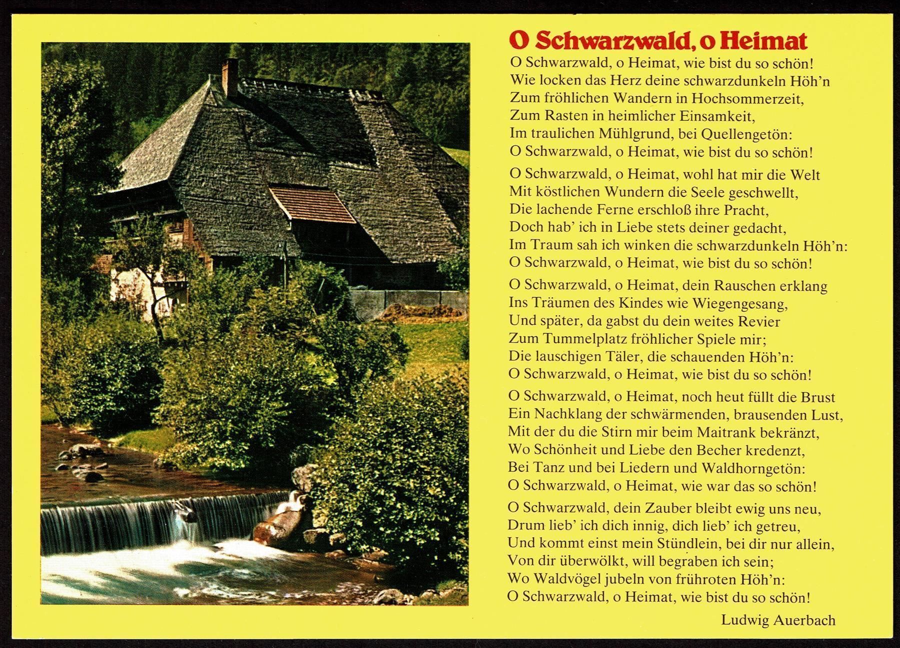 Cartoline postali: AK O Schwarzwald, o Heimat – Usato da Basel venduto da Falconis