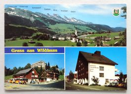 Wildhaus in  Obertoggenburg
