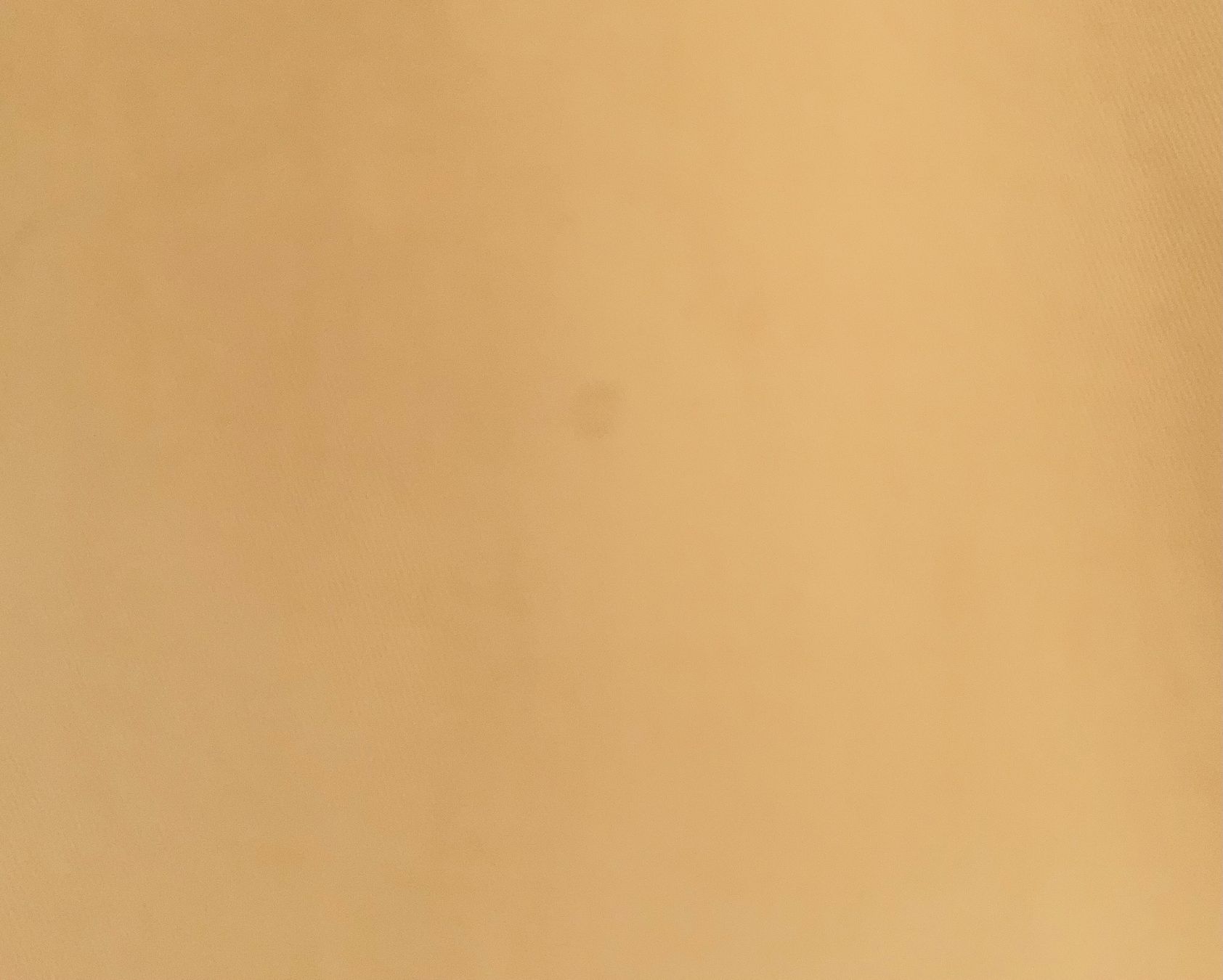 Lacoste Pantaloni: Lacoste short slim fit  beige - FR 46 – Usato da Corseaux venduto da Mililaforet75 6