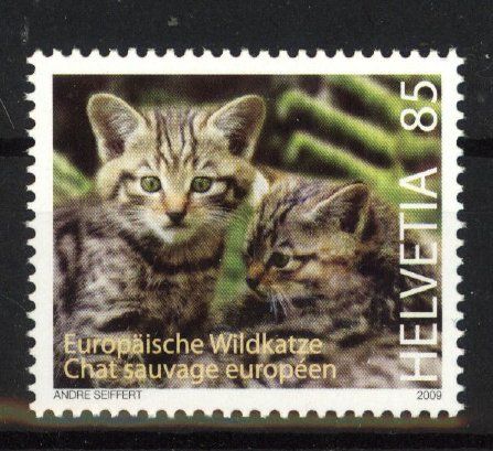 Tutti i francobolli: 2009, Europäische Wildkatzen ** – Usato da Willisau venduto da Vollstempel