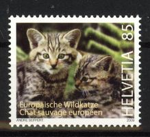 2009, Europäische Wildkatzen **