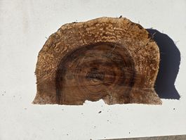 Nussbaum Baumscheibe / Holzscheibe rustikal – ca. 28 cm