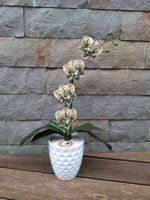 Deko-Orchidee Cremefarbig / Beige aus Kaffeekapseln