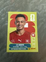Panini SUI 19