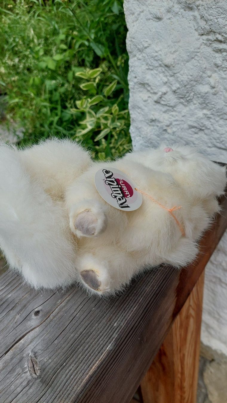 Tops: Peluche chat blanc – Neu und originalverpackt aus Marsens von fakia 3