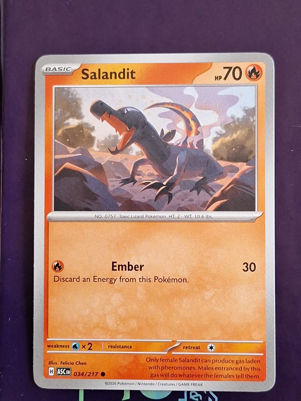 Pokémon Carte collezionabili: Salandit - Pokemon Ascended Heroes – Usato da Altstätten SG venduto da GGsGameshop