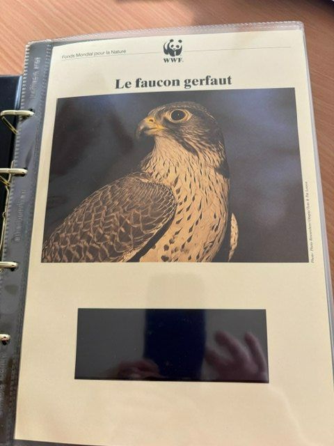 WWF Alben: Collection de timbres WWF – Neu (gemäss Beschreibung) aus Palézieux von MyriamEdward 1