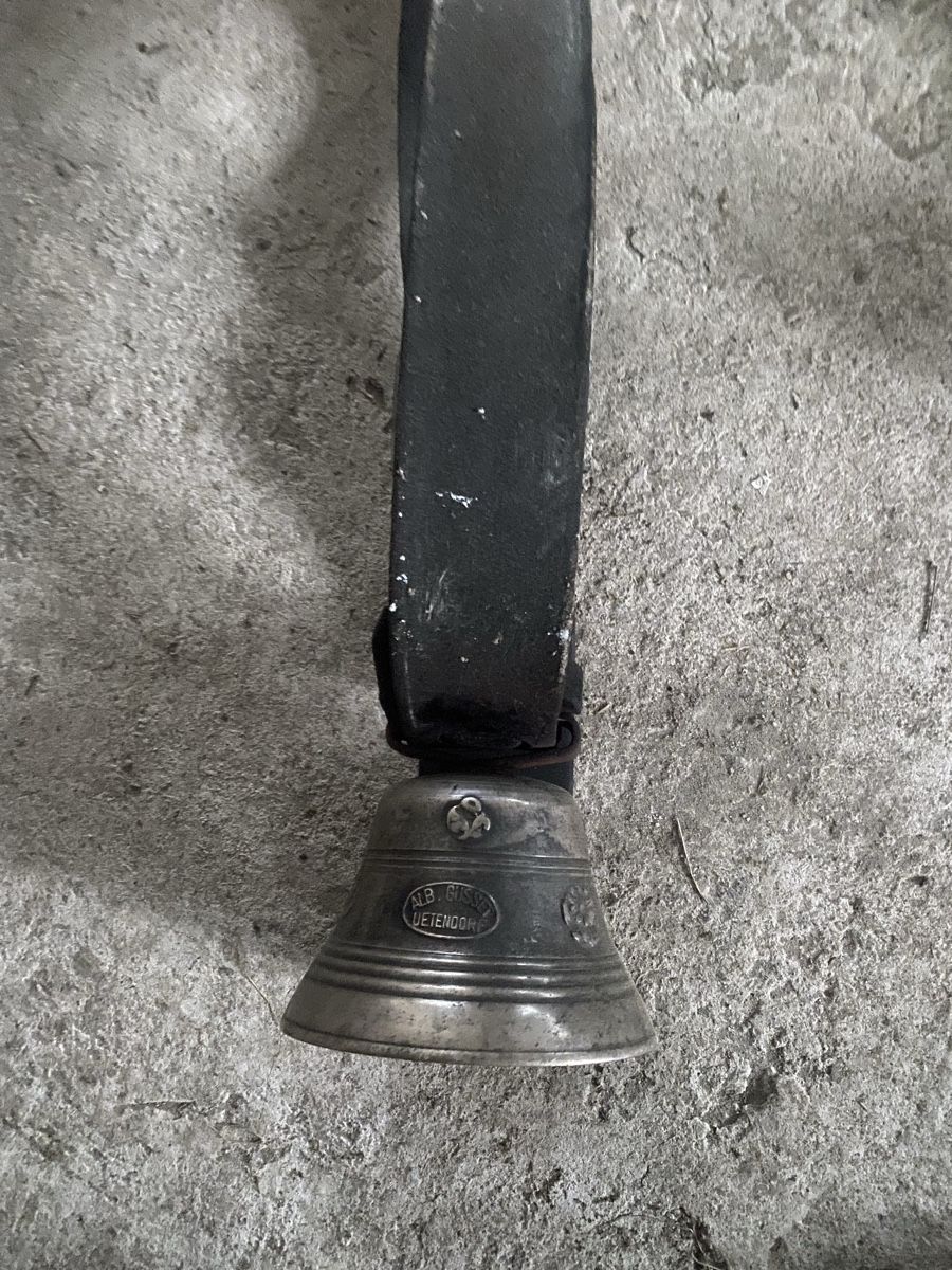Campanacci mucche: Glocke Schelle – Usato da Menzingen venduto da Edelmuni7