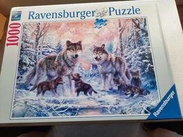 Ravensburger Puzzle 1000 Stk. "ARKTICHE WÖLFE"