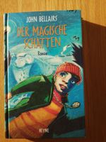 Magischer Schatten, Jugendbuch, John Bellairs