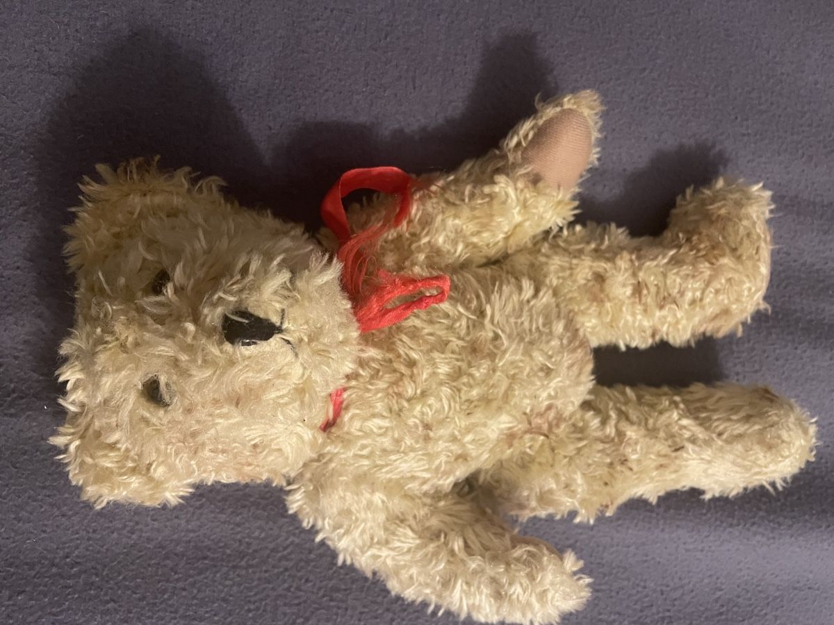 Spielzeuge: Alter Teddybär – Gebraucht aus Münchenstein von Kapris 3