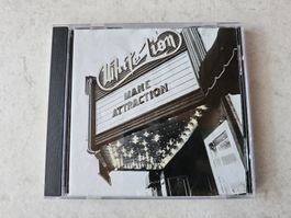 White Lion  -  Mane Attraction