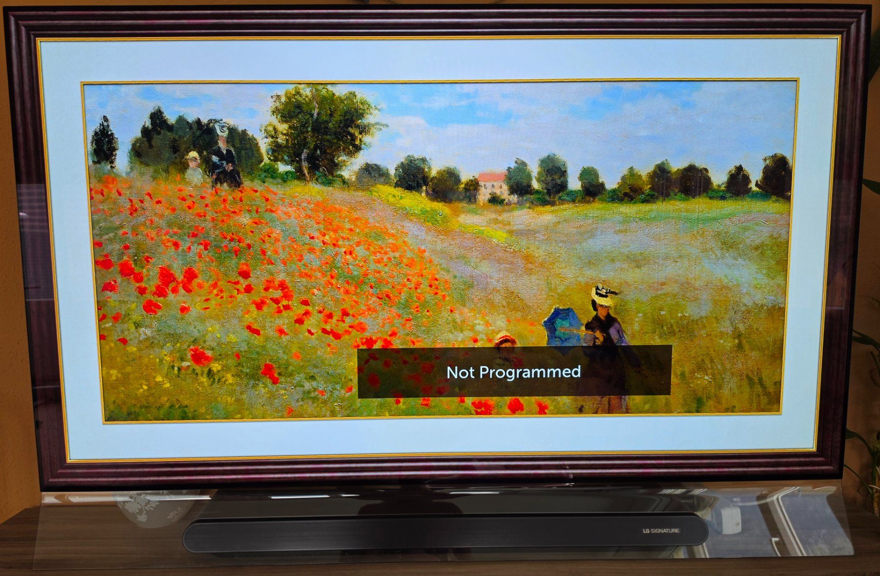 LG Fernseher: Lg oled 65 g8 – Gebraucht aus Schattdorf von amiryz69
