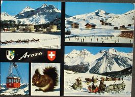 AROSA Luftseilbahn, Eisrink, Pferde-Schlitten, Pferderennen