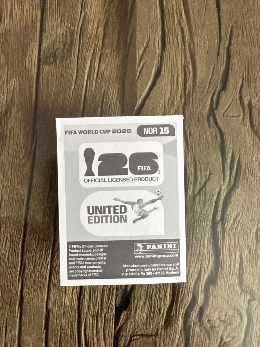 Panini Carte collezionabili: Panini Sticker Haaland  – Nuovo (secondo la descrizione) da Wallisellen venduto da MoPo00 1