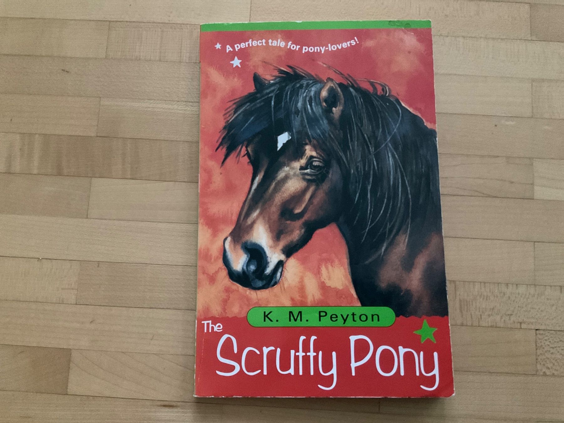 Libri: Two Books for Horse lovers – Usato da Winterthur venduto da aionila 4