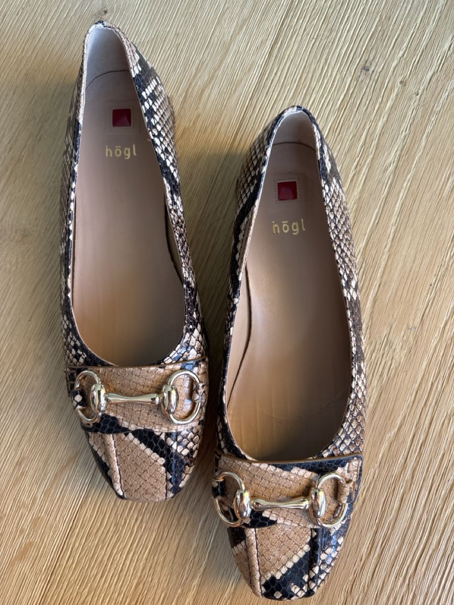 Högl Damenschuhe: Klassischer Ballerina Högl Gr. 37 – Gebraucht aus Gunten von tibisti 2