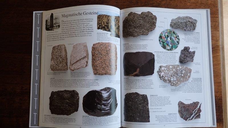 Bücher: Fossilien Bücher/Hefte – Gebraucht aus Rickenbach BL von Oktober68 7