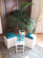 🤩IKEA 10 STK: 4 HOCKER & 4 KISSEN & 2 BEISTELLTISCHE