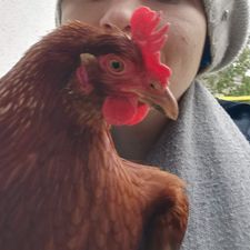 Profile image of aimeeaimee