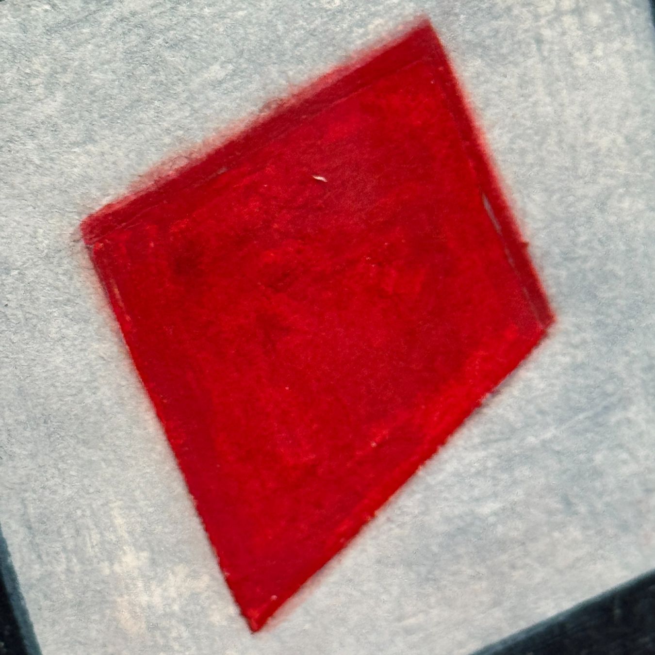 Xilografie: Hans Arp - Levrini Gallery – Usato da Gockhausen venduto da LevriniGallery 3