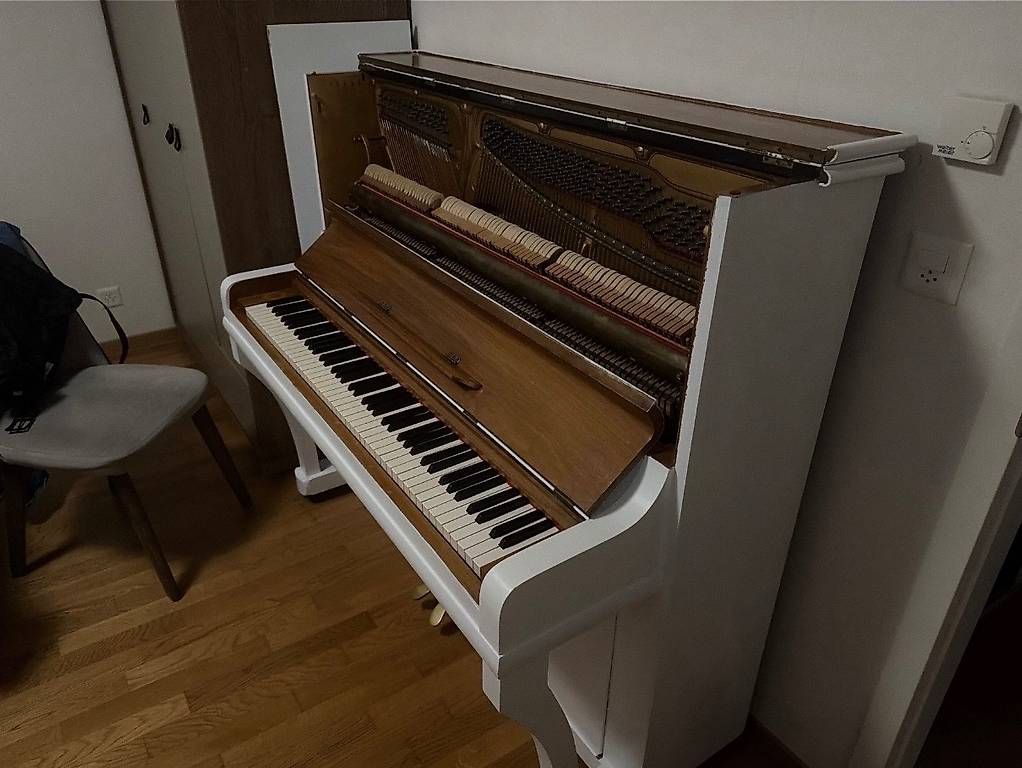 Strumenti musicali: Hornung møller 1924 – Usato da Bex venduto da sba_v6tg 1